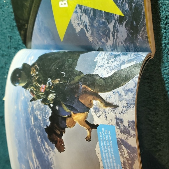 Paws of Courage - Picture 4 of 4